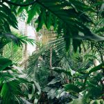 plant-based skin brighteners: the truth nobody tells you about dullness