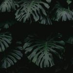 Sustainable Skincare Secrets: What Big Beauty Doesn’t Want You to Know