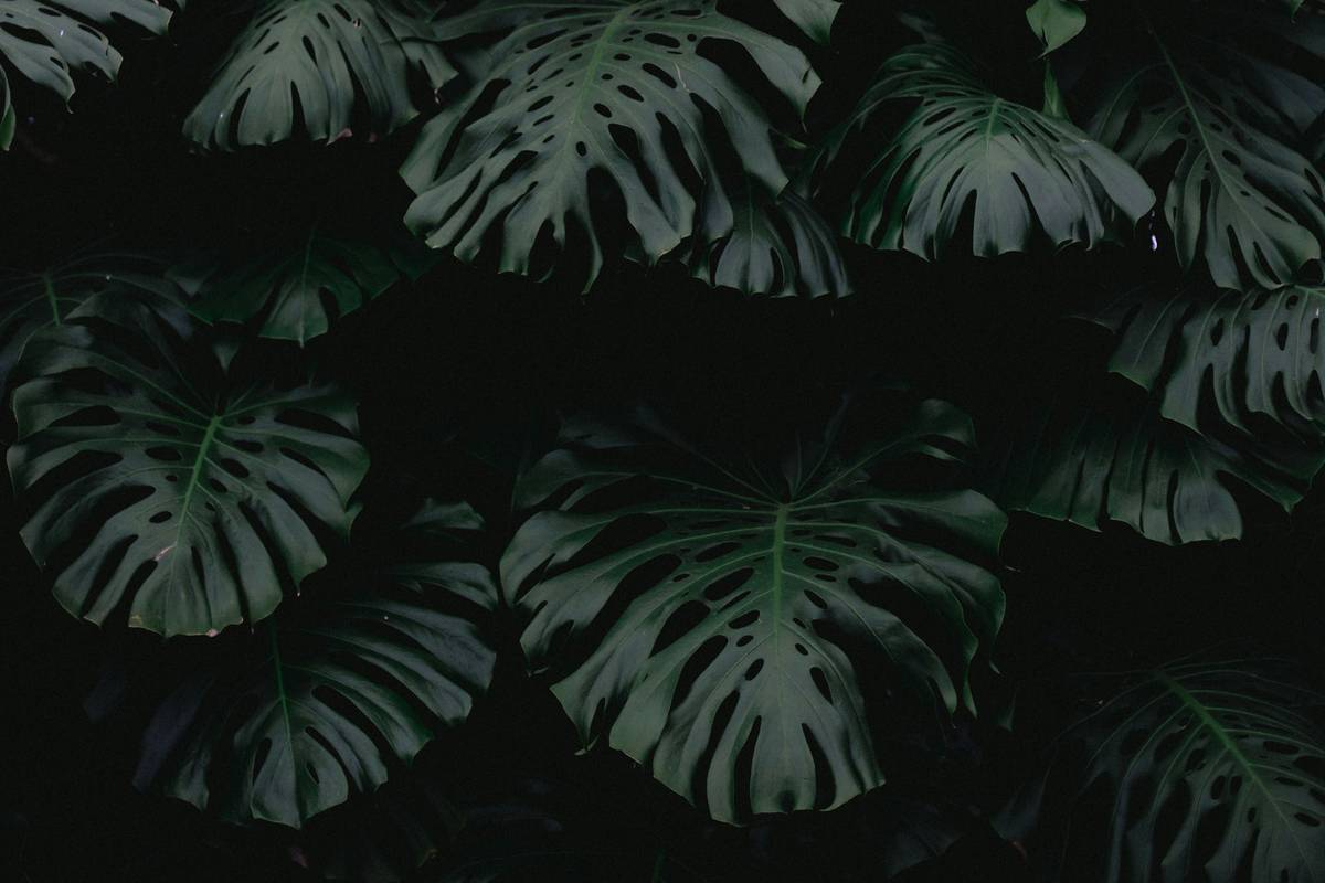 Sustainable Skincare Secrets: What Big Beauty Doesn’t Want You to Know