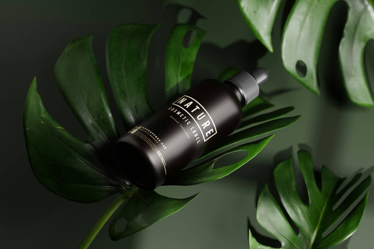 Cast Iron Plant for Skincare: 7 Proven Ways to Avoid Costly Mistakes